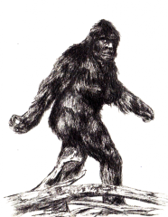 The Sasquatch Bigger Is Better Beachcombing s Bizarre History Blog